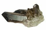 Dark Smoky Quartz Crystal Cluster - Brazil #134961-1